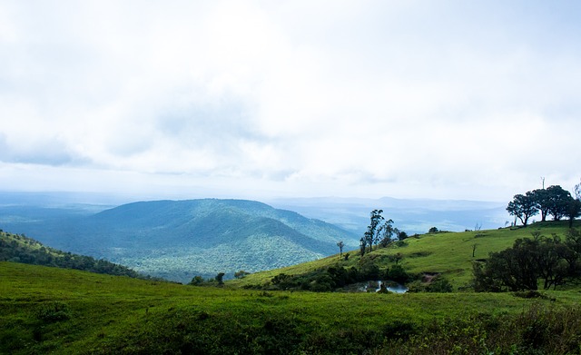 “苏超”带来了什么？泰州队小将武之程：带动了江苏的GDP