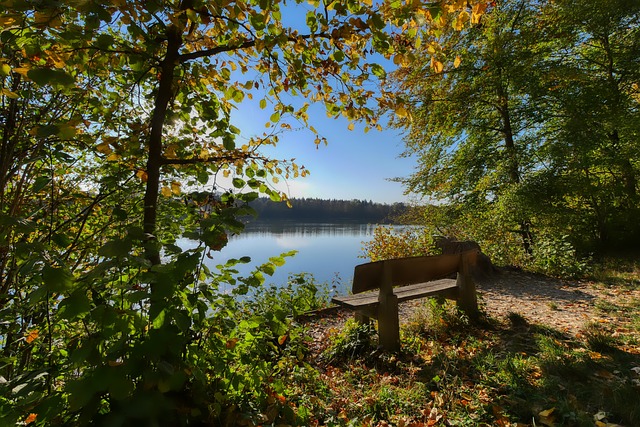 篮球NBA联盟公布裁判新规则